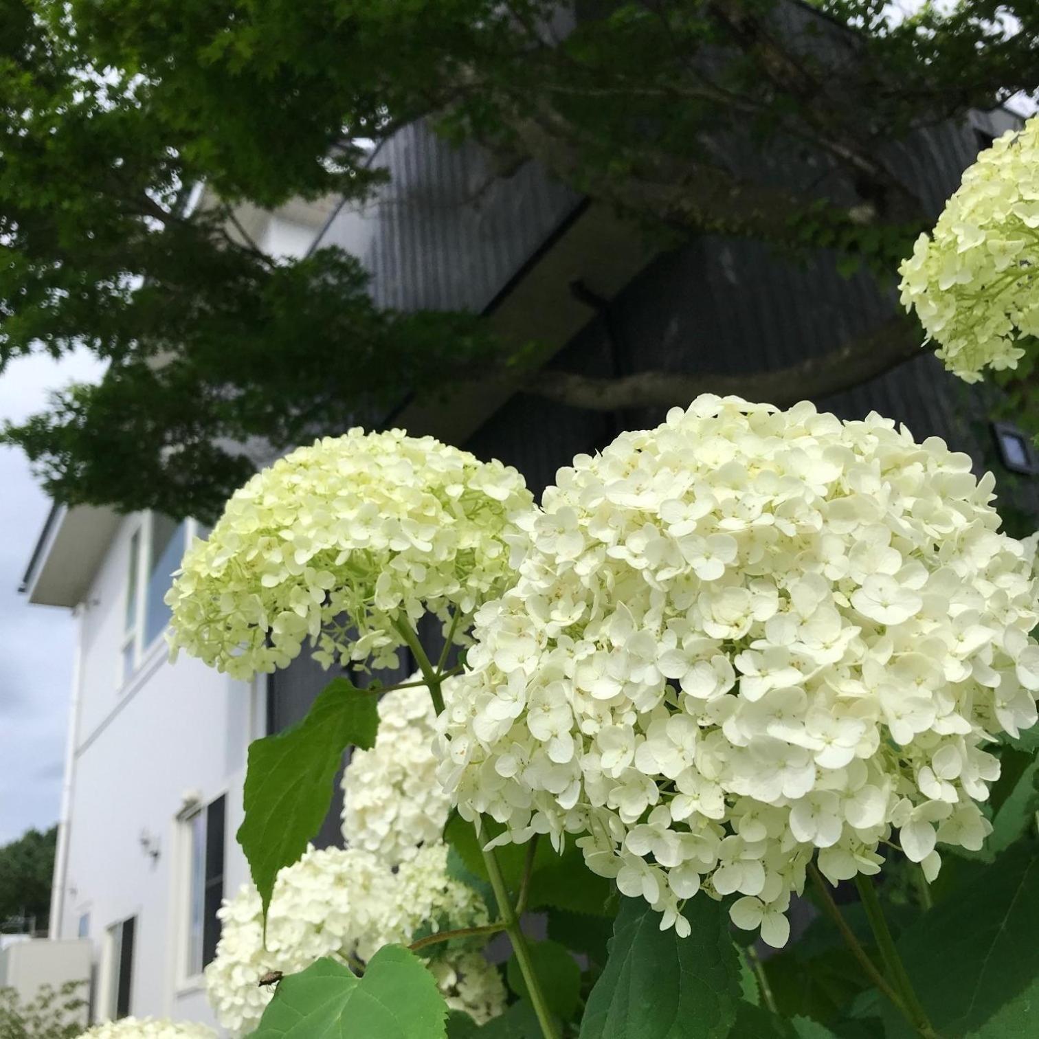 Sweet Villa Takasama - Vacation Stay 11775 Fujiyoshida Εξωτερικό φωτογραφία